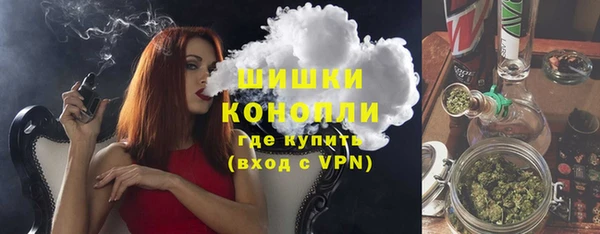 гидропоника Алзамай