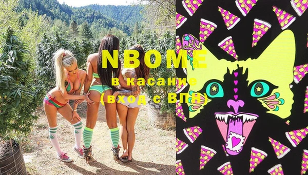 гидропоника Алзамай
