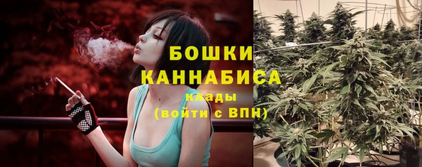 ГАЛЛЮЦИНОГЕННЫЕ ГРИБЫ Алексеевка