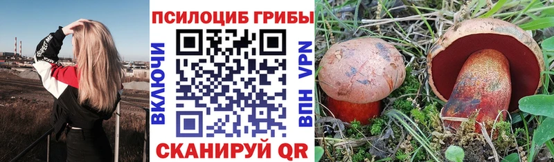 Псилоцибиновые грибы Cubensis  Новоуральск 