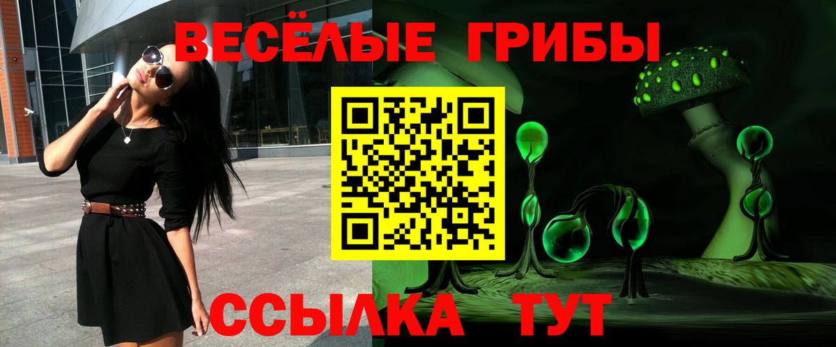 Новоуральск  купить наркотик  Вход с VPN  Галлюциногенные грибы Cubensis 